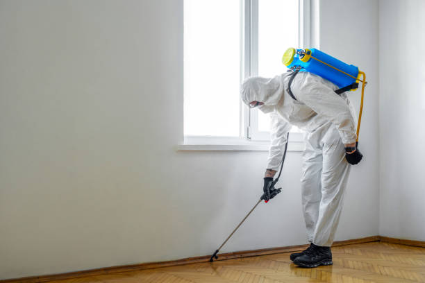Best Mosquito Control Services  in Gambrills, MD